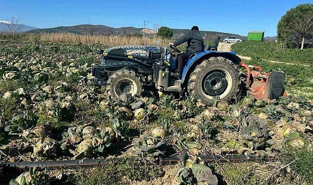 Bursa’da yüzlerce dönüm ürün çöp oldu!