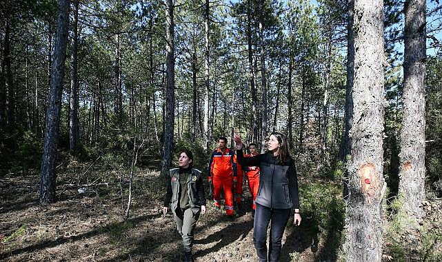 ‘Bursa’nın akciğerleri’ onlara emanet