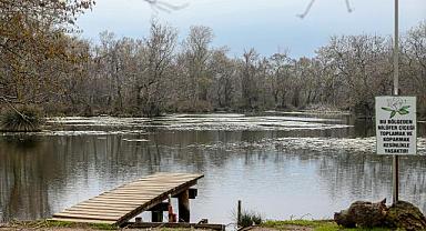 Bursa’nın doğa harikasına can suyu!