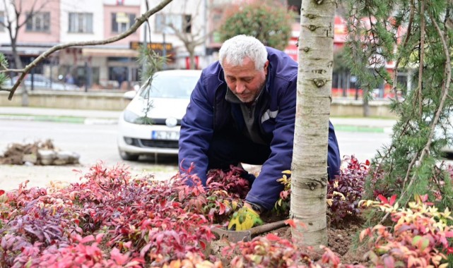 Gemlik’te Peyzaj ve Kent Estetiği Çalışmaları Sürüyor
