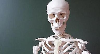 İklim krizi kemiklerimizi eritiyor! 