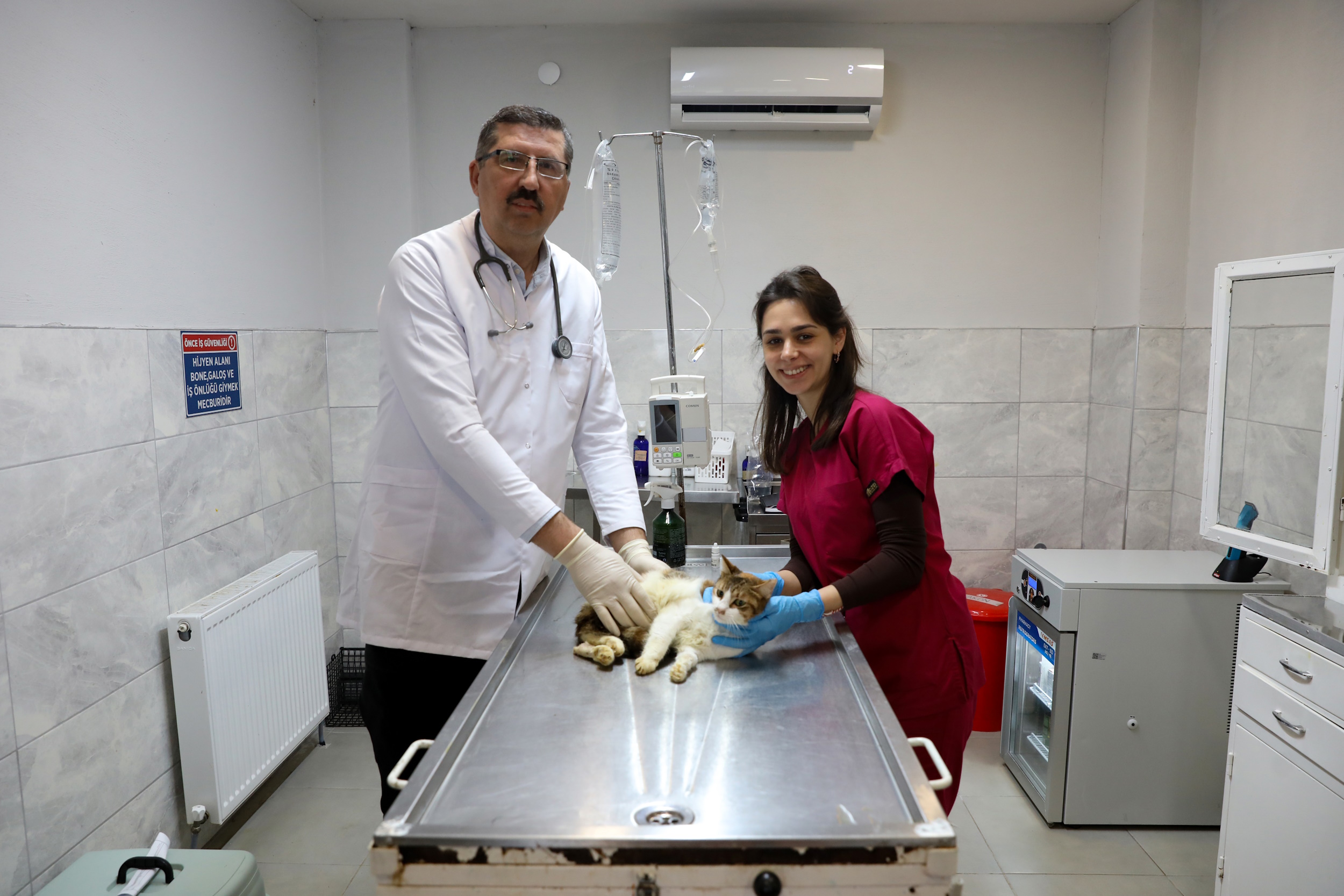 Yaralı kediye Büyükşehir şefkati