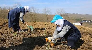 Bursa’da çiftçiye yeni umut