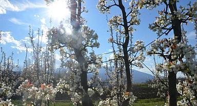 Bursa’da ilkbahar güzelliği