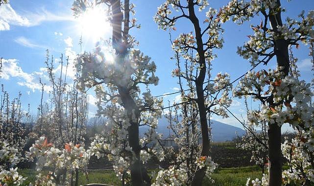 Bursa’da ilkbahar güzelliği