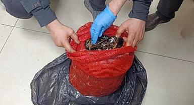 Bursa’da operasyon