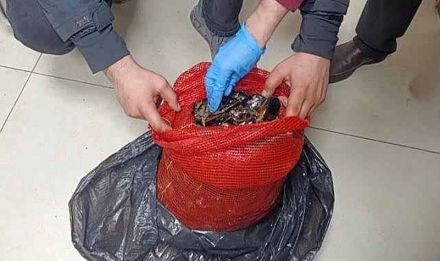 Bursa’da operasyon