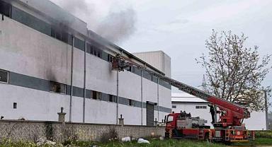 Bursa’daki mobilya fabrikasında yangın