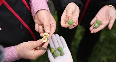 Bursa’nın dünyaca ünlü markası mercek altında