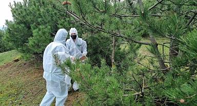 Bursa ormanlarını onlar koruyacak!