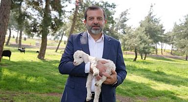 Bursa’ya yeni hayvanat bahçesi