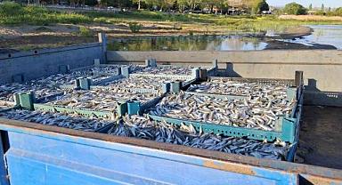 Bursalı balıkçılarda yüzler gülüyor