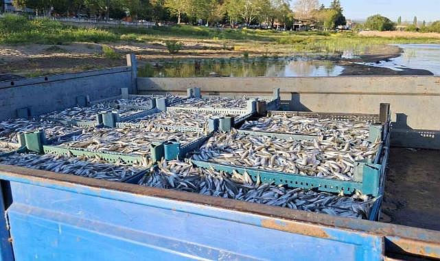 Bursalı balıkçılarda yüzler gülüyor