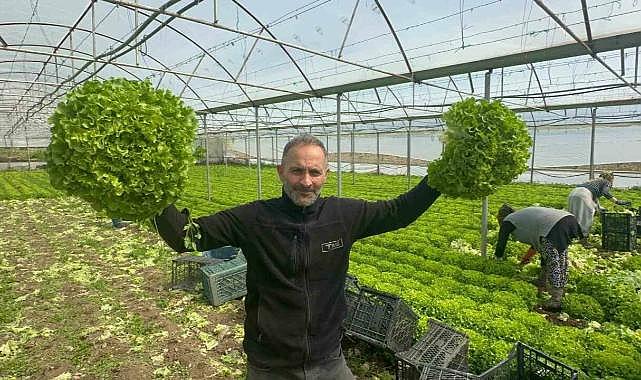 Bursalı çiftçinin yüzü gülüyor!