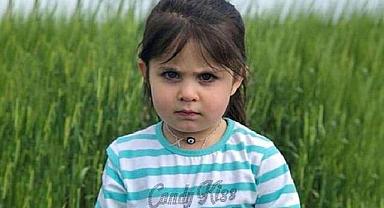 Leyla Aydemir davasında yeni gelişme