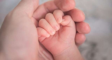 2025 verileri belli oldu! En çok ‘Yengeç’ en az ‘Kova’…