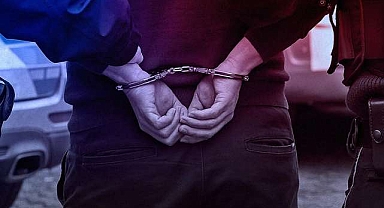 33 kedinin ölümü cezasız kalmadı