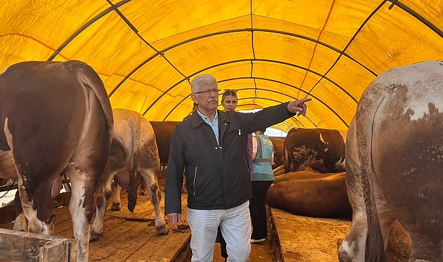 'Kurbanlık alırken küpe ve sağlık raporu mutlaka kontrol edilmeli'