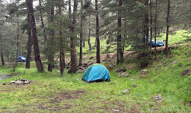 Ağaca yıldırım düştü; piknik yapan akrabalardan 1'i ağır 3 yaralı