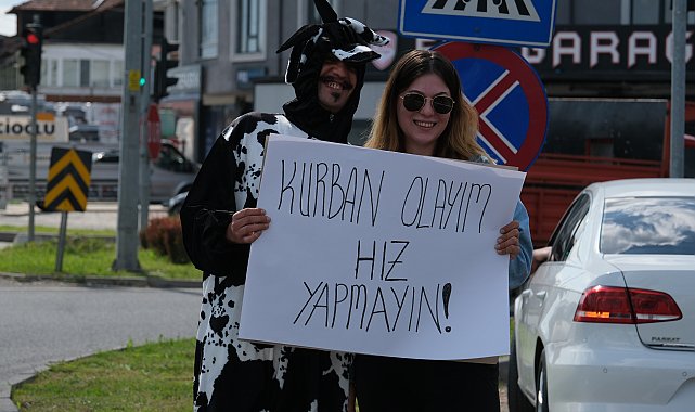 Akan trafikte inek kostümüyle sürücülere hız yapmayın uyarısı
