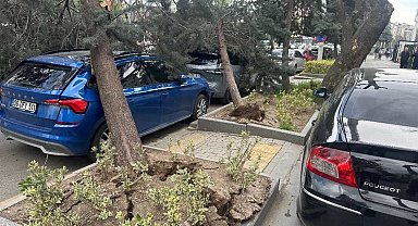 Ankara'da kuvvetli rüzgar; ağaçlar devrildi, araçlar zarar gördü