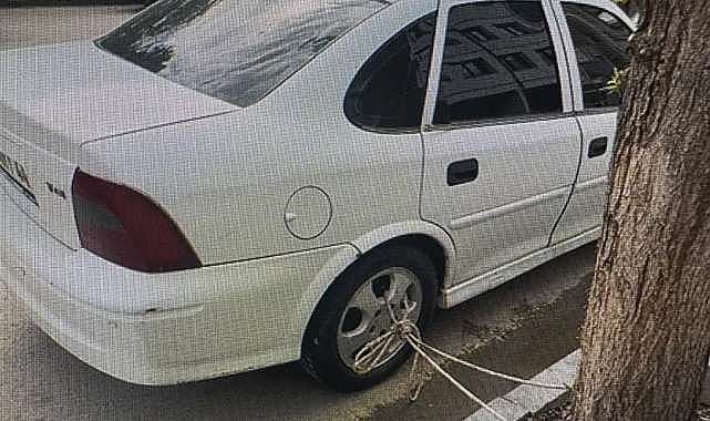 Arabasını ağaca bağladı
