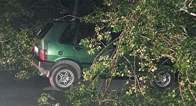 Bartın'da fırtına; ağaçlar devrildi, araçlar zarar gördü