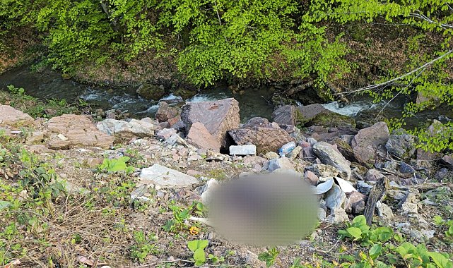 Binlerce saat kamera kaydı incelendi, cinayet şüphelisi bir günde yakalandı