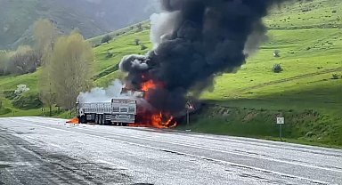 Bitlis'te kafa kafaya çarpışan 2 TIR alev aldı; 2 ölü