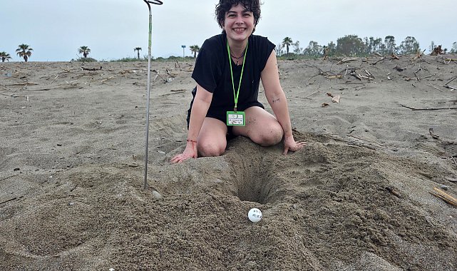 Caretta sezonu açıldı; Belek'te ilk yuva sevinci