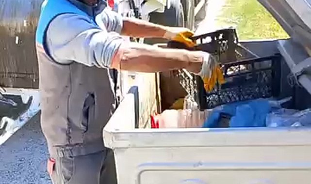 Çöp konteynerine atılan kaplumbağa kurtarıldı