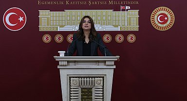 DEM Parti'li Koçyiğit: Barışın hukuka ihtiyacı var