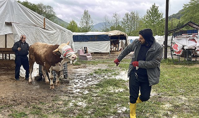 Derenin debisi arttı; iş yerleri ve kurbanlık pazarı tahliye edildi