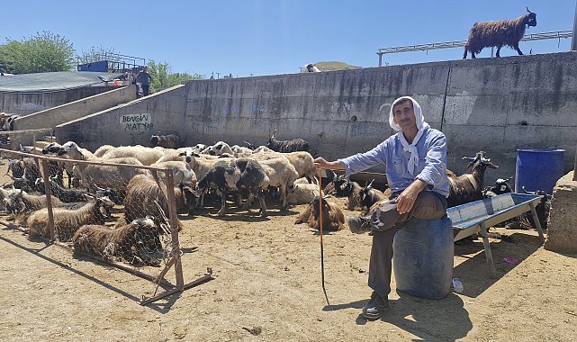 Diyarbakır'da Canlı Hayvan Borsası'nda bayram yoğunluğu