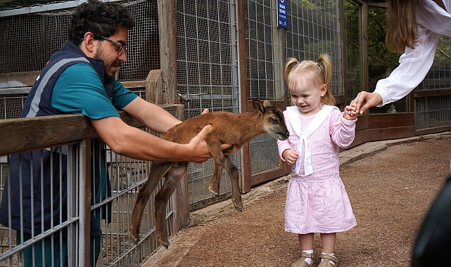 Doğal Yaşam Parkı'ndaki yavrular ziyaretçilerini bekliyor
