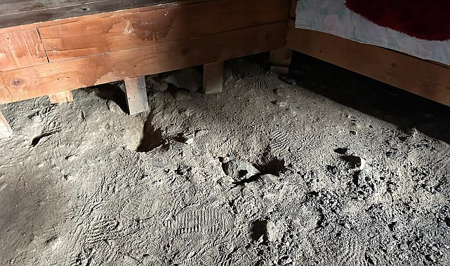 Düzgün Baba Ziyaretgahı'ndaki tahribat soruşturmasında 4 gözaltı