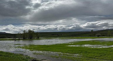 Erzincan'da aşırı yağış, ekili arazileri vurdu
