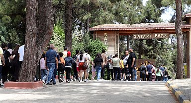 Gaziantep Doğal Yaşam Parkı'nda ziyaretçi yoğunluğu