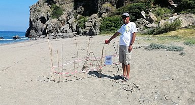 Gazipaşa'da yılın ilk caretta caretta yuvası korumaya alındı
