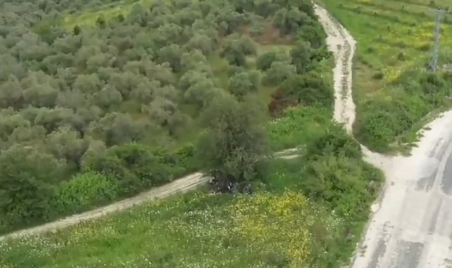Hatay'da 42 düzensiz göçmen yakalandı