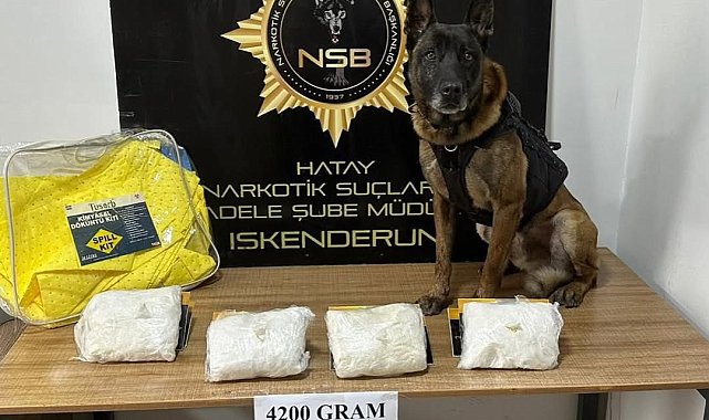 Hatay'da mayıs ayında uyuşturucu suçundan 77 şüpheli tutuklandı