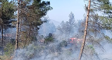 Hatay'da orman yangını