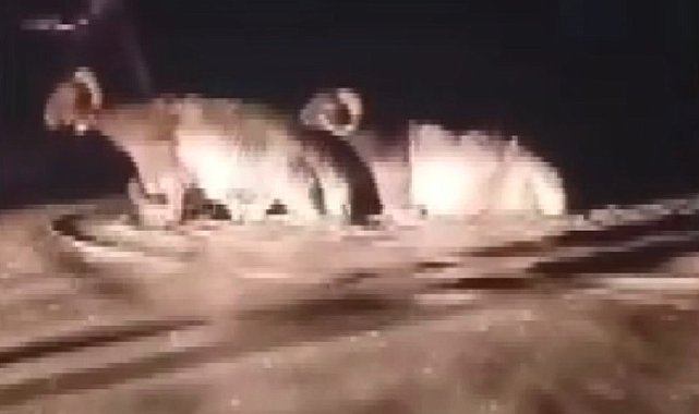 Hatay'da sağanak; hayvan pazarını su bastı