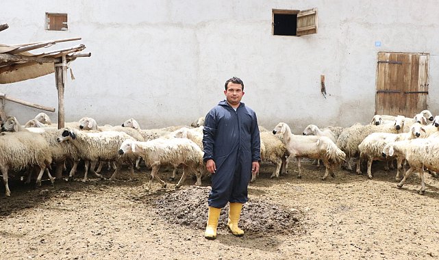 Hayvan sevgisiyle sağlığına kavuştu; köyüne dönüp modern tarım ve hayvancılığa başladı