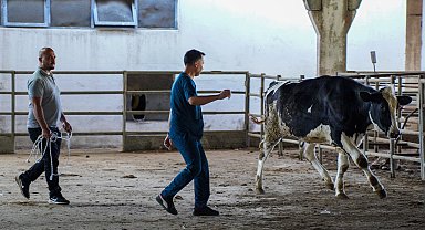 Hayvan yakalama timi, kaçan kurbanlıklar için göreve hazır