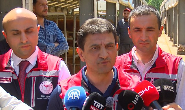 İstanbul İl Tarım ve Orman Müdürü Parıldar: 940'a yakın geçici kurban kesim yeri belgelendirilmiş durumda