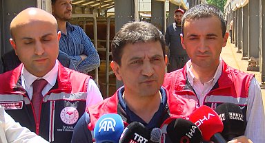 İstanbul İl Tarım ve Orman Müdürü Parıldar: 940'a yakın geçici kurban kesim yeri belgelendirilmiş durumda