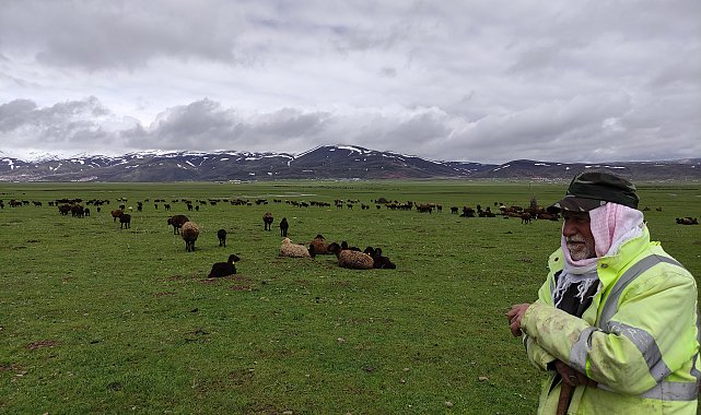Kardan kapanan yaylalara çıkamayan besiciler, hayvanlarını ovada bekletiyor