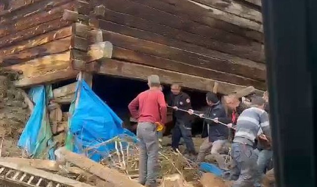 Kastamonu'da ağıl çöktü: 1 ölü