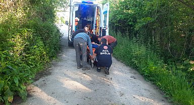 Kastamonu'da bal arısı hastanelik etti